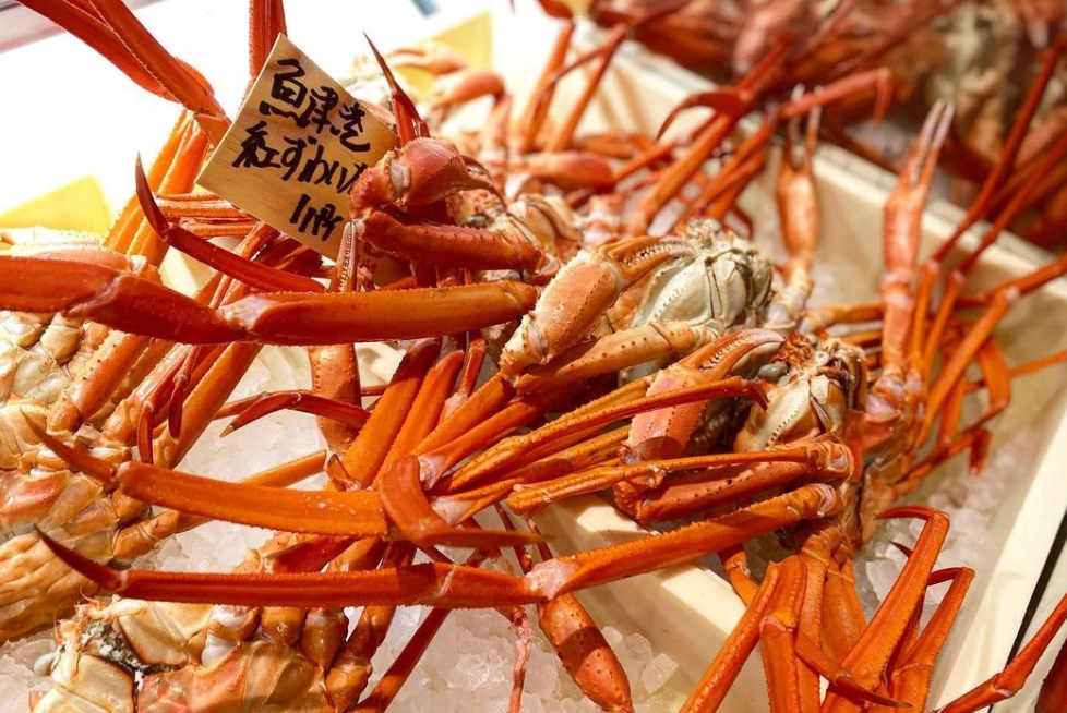 �}���[�g�X��